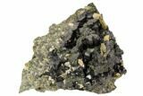 Black Andradite (Melanite) Garnet Cluster - Morocco #107911-1
